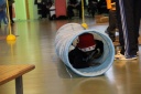 IMG 2910 (Copier)